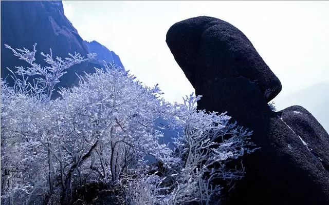 雪后黃山風(fēng)景宛如人間仙境，舞一曲雪中霓裳羽