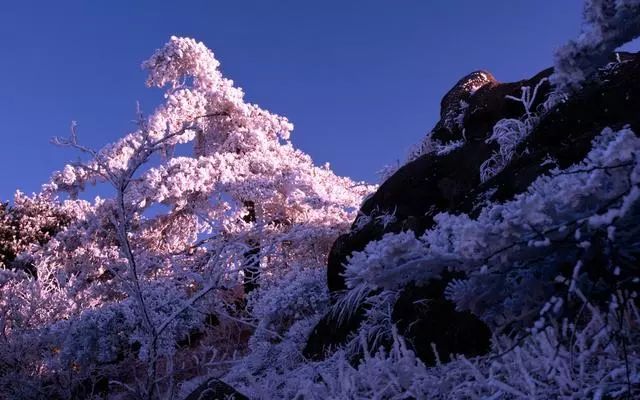 雪后黃山風(fēng)景宛如人間仙境，舞一曲雪中霓裳羽