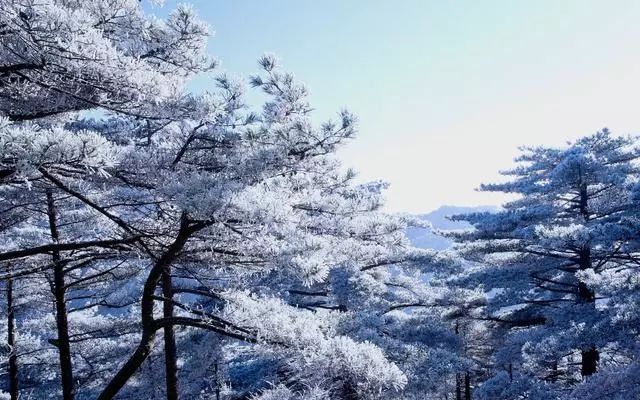 雪后黃山風(fēng)景宛如人間仙境，舞一曲雪中霓裳羽