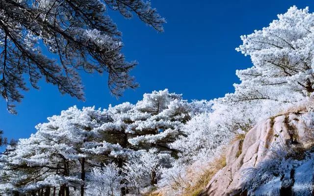 雪后黃山風(fēng)景宛如人間仙境，舞一曲雪中霓裳羽