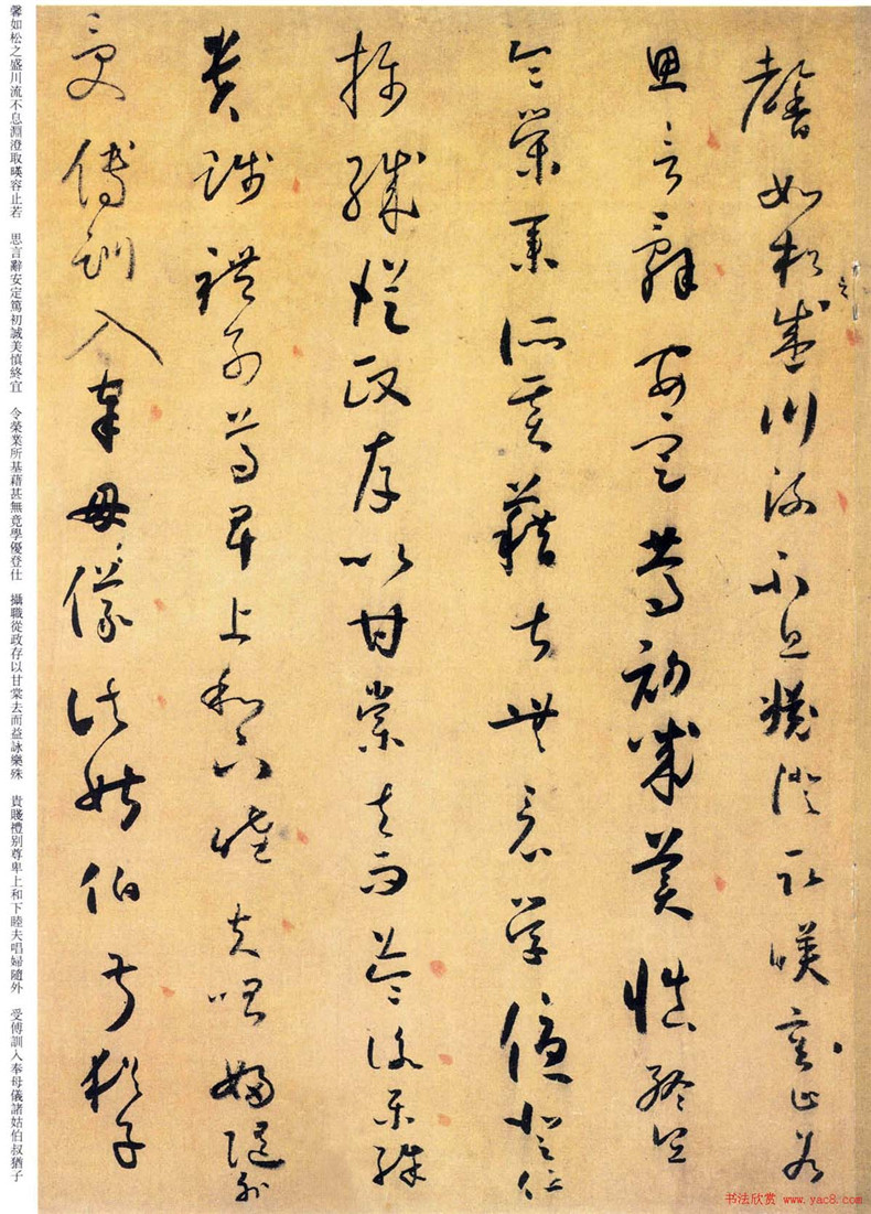 “草圣”懷素書(shū)法欣賞《小草千字文》