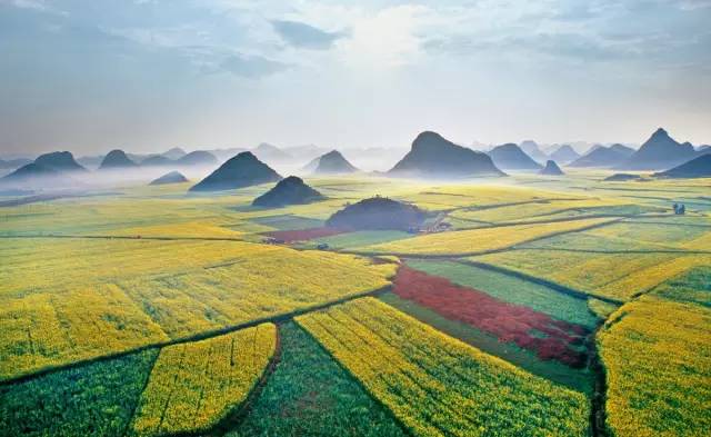 美到窒息的中國最美油菜花海，邂逅花海風(fēng)景！