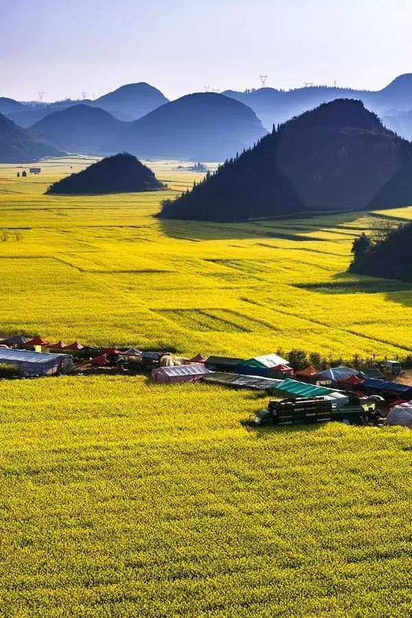美到窒息的中國最美油菜花海，邂逅花海風(fēng)景！