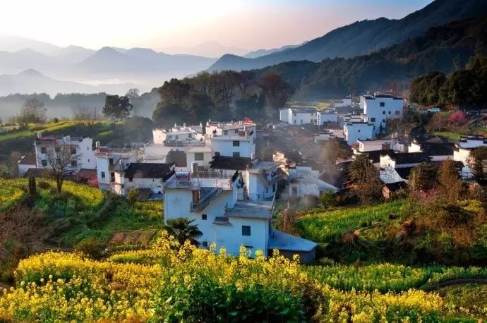 美到窒息的中國最美油菜花海，邂逅花海風(fēng)景！