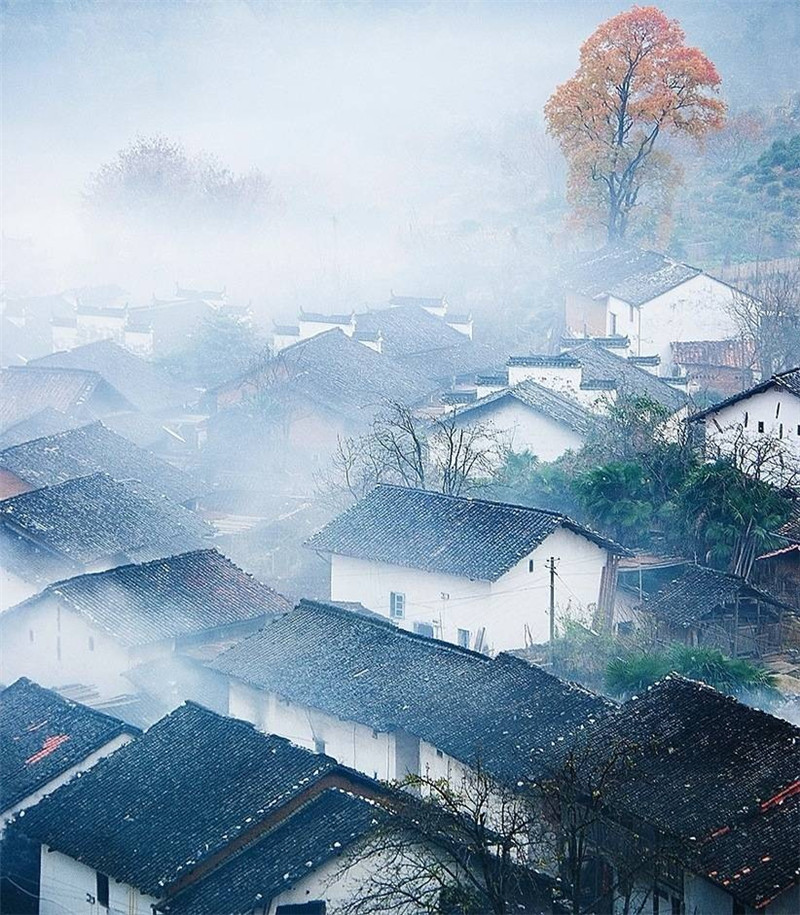 山中那絕美田園村落的景色