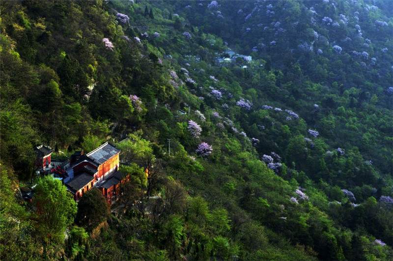 夏日的五岳之冠武當(dāng)山