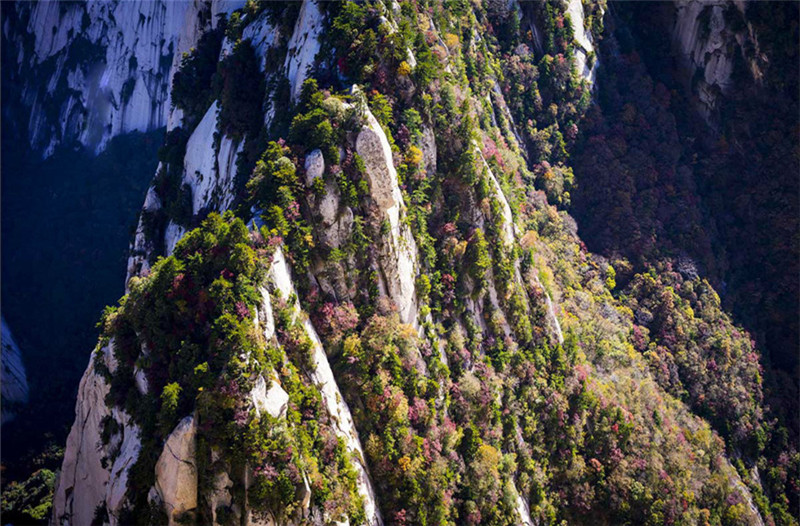 中華民族圣山——華山攝影