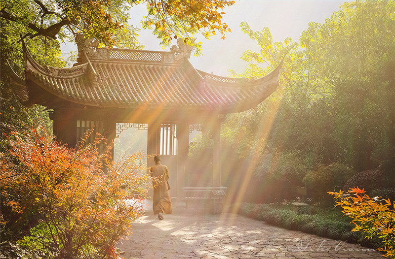 山中寺廟林間美景