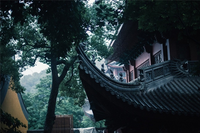 山中寺廟林間美景