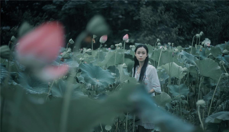 煙雨荷塘古裝人物攝影照片