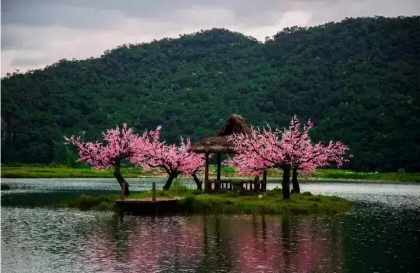 《三生三世十里桃花》的外景拍攝地！