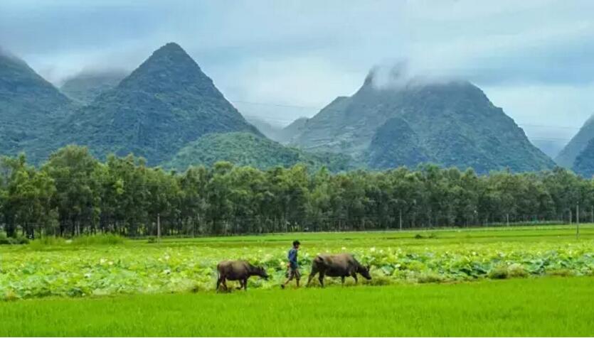 《三生三世十里桃花》的外景拍攝地！