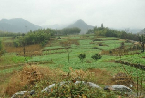 如何從表面判斷墓地的風水情況？看墓地風水的