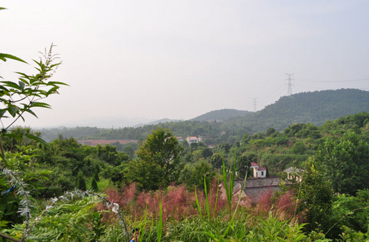 林彪祖墳風水好嗎？揭秘林彪祖墳風水