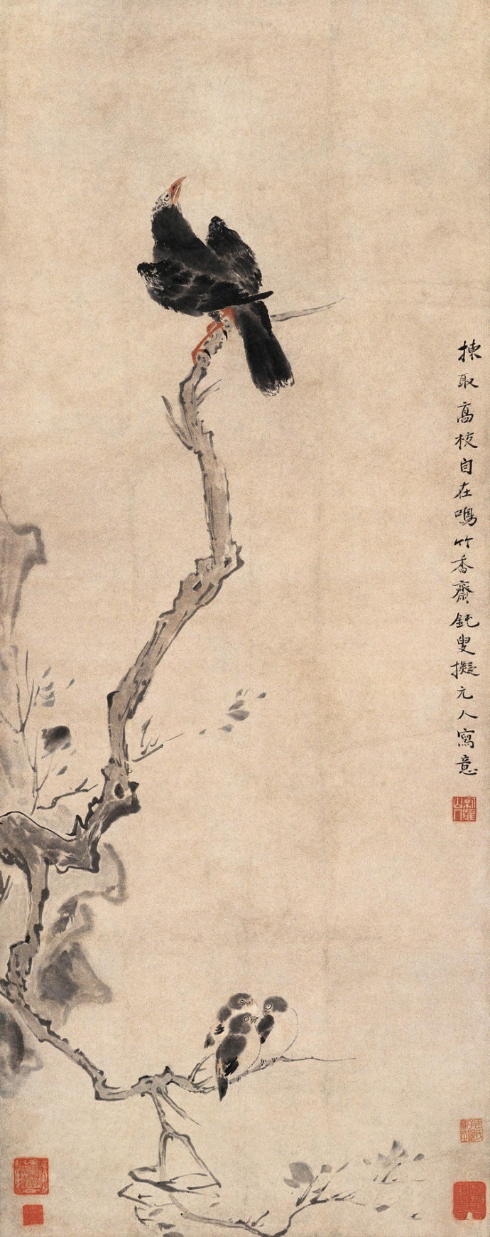 清代畫(huà)家華嵒精美花鳥(niǎo)書(shū)畫(huà)作品欣賞