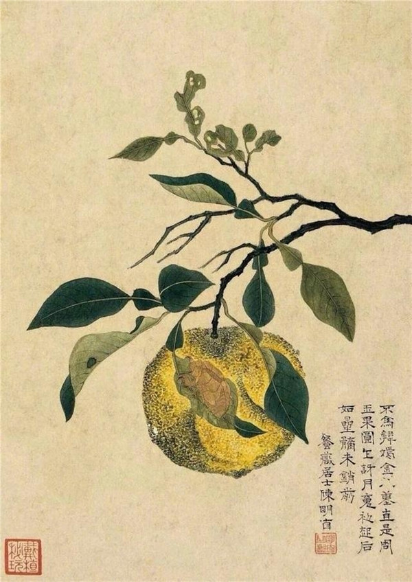 明清時代畫家陳明自繪畫的花卉動物