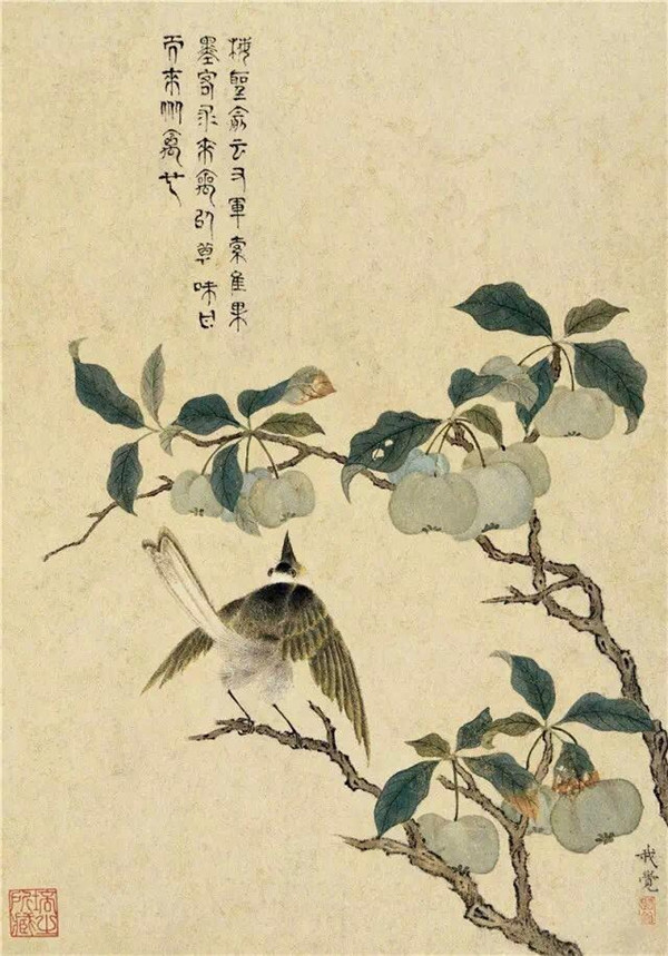 明清時代畫家陳明自繪畫的花卉動物