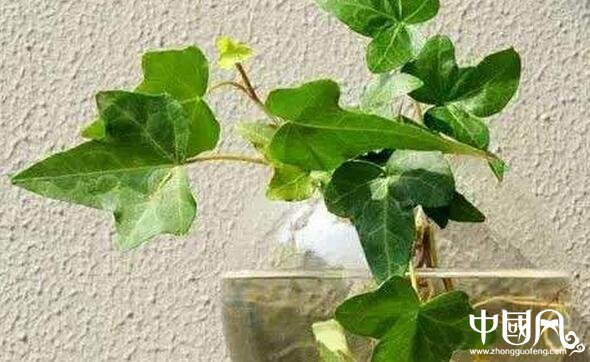 居家實(shí)用的風(fēng)水常識