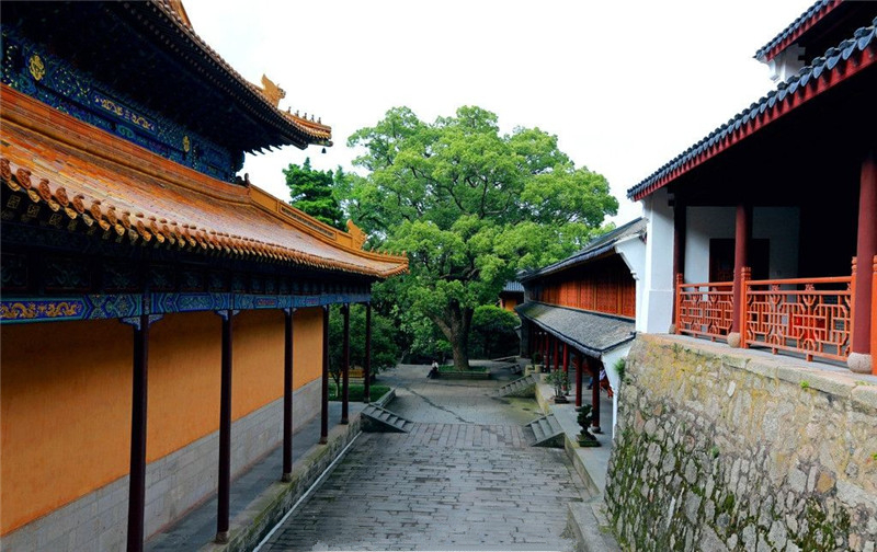 普陀三大寺之一——法雨寺