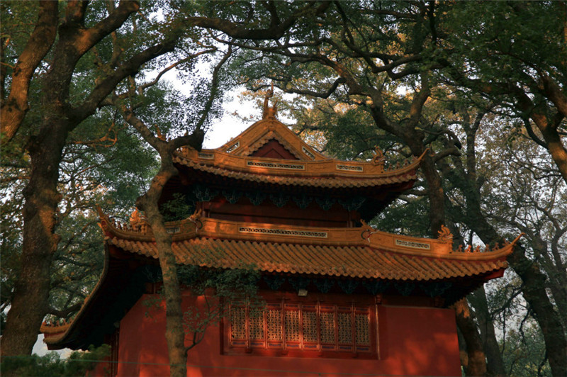 普陀三大寺之一——法雨寺