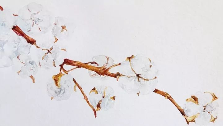 四季水彩花卉插畫，驚艷唯美!