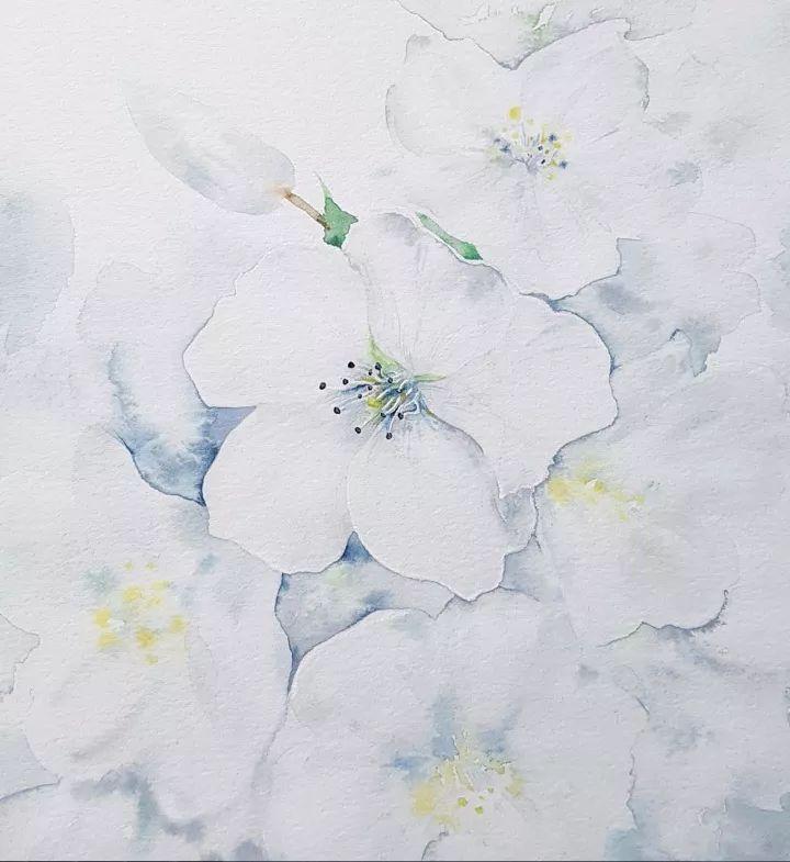 四季水彩花卉插畫，驚艷唯美!