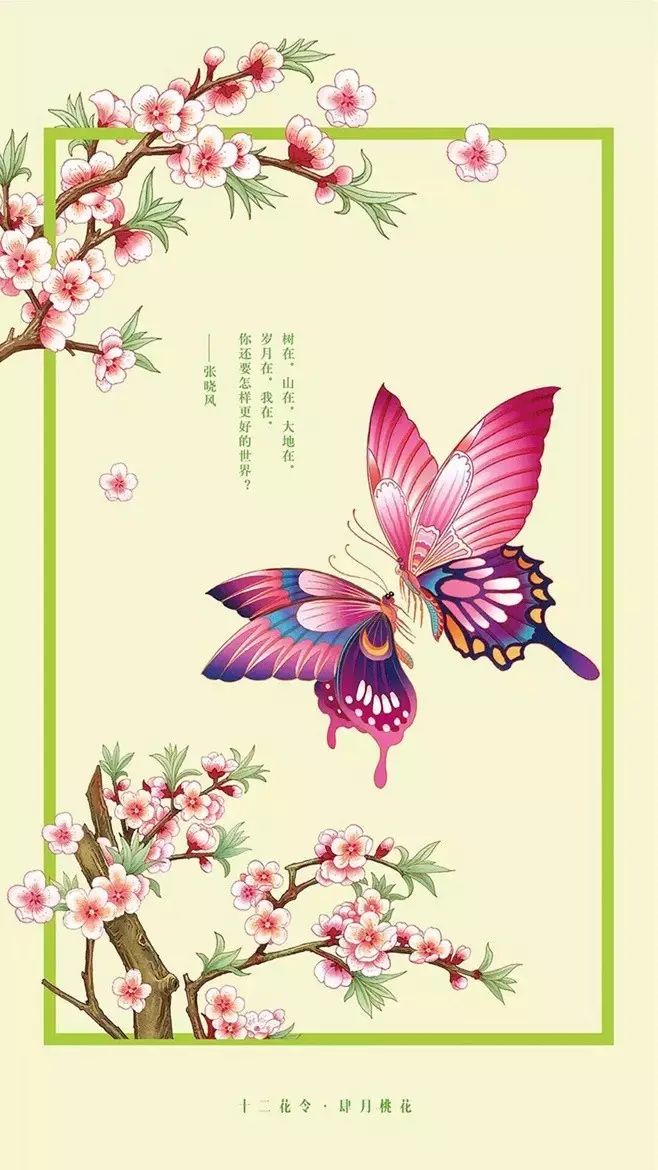 十二花令插畫圖片：以花為媒四季流轉(zhuǎn)