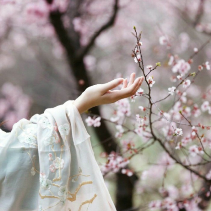 古風女子纖纖玉手頭像，寧靜清幽女生頭像