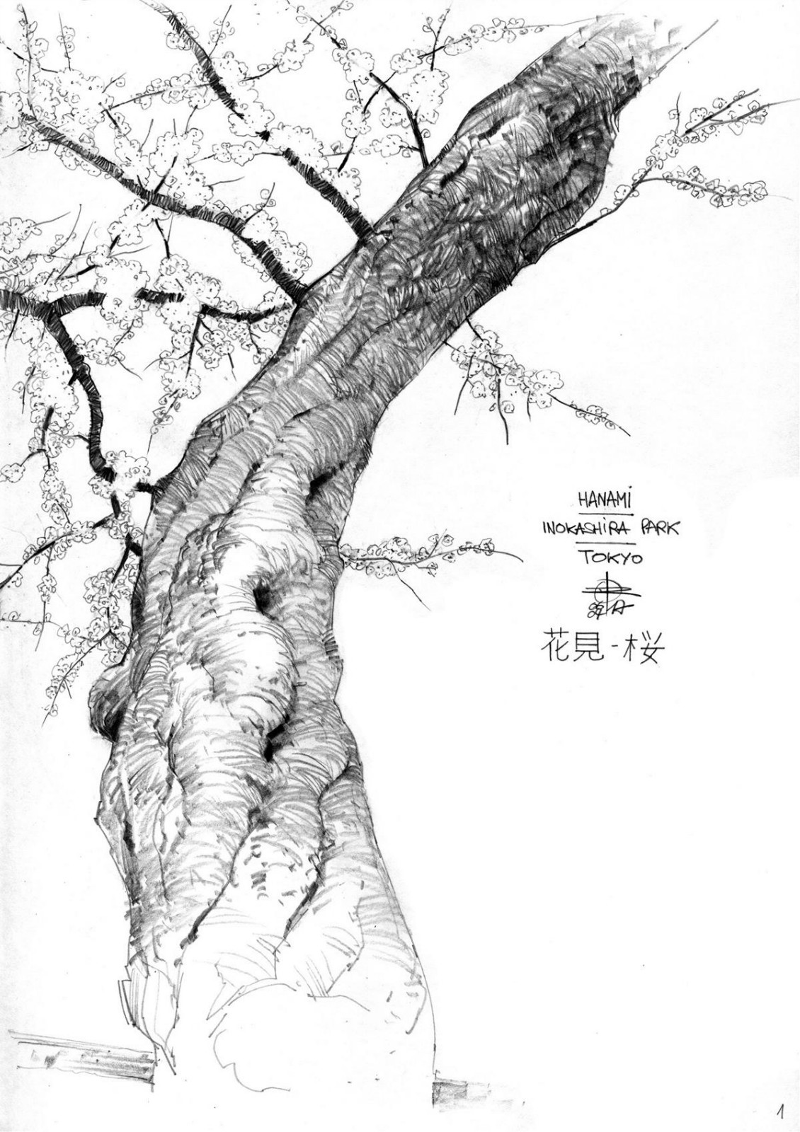 一組黑白手繪插畫(huà)