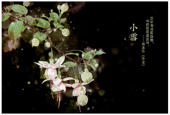 唯美的24節(jié)氣花卉插畫，品味古老的詩之清韻