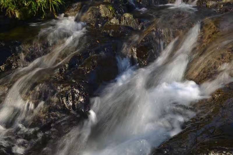 莫干山悠然九希，面朝竹海背向茶山的避暑圣地