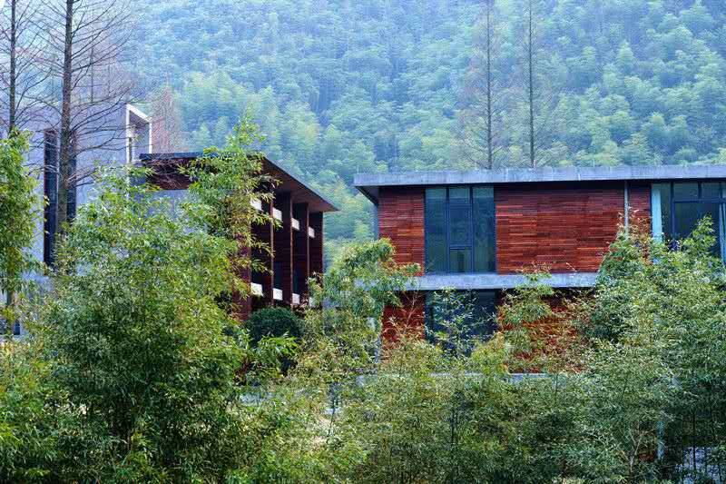 莫干山悠然九希，面朝竹海背向茶山的避暑圣地